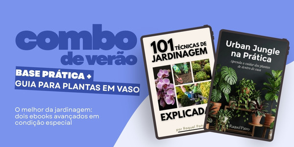 combo de verão