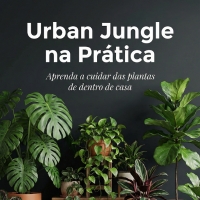 Urban Jungle na Prática: Como cuidar das plantas de dentro de casa